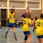 HV Grol DS4