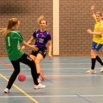 HV Grol DS4