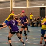 HV Grol DS4