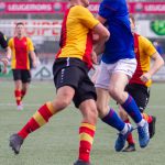 Grol 1-1-19