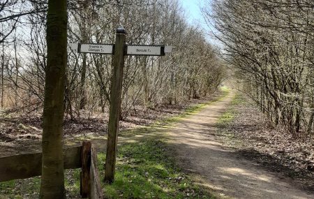 Landgoed Wandeltocht in Beltrum