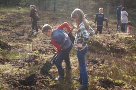 Samen in actie voor vitale bossen