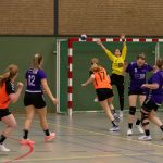 HV Grol DS4