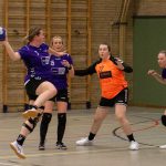 HV Grol DS4
