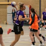 HV Grol DS4
