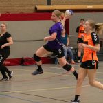 HV Grol DS4
