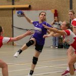 HV Grol DS2