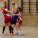 HV Grol DS2