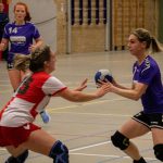 HV Grol DS2