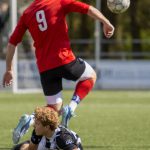 Neo 1 - Grol 1-11