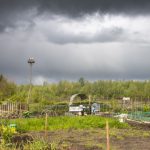 Ooievaar-4