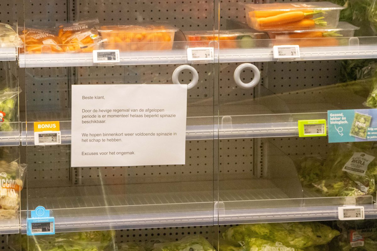 Spinazie op in de winkel