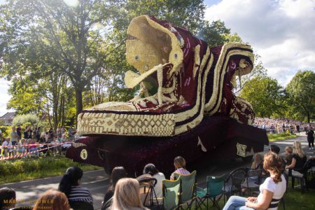 Bloemencorso 2024 Lichtenvoorde-8
