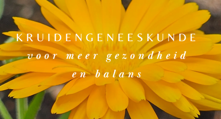 Schermafbeelding 2024-10-10 110514