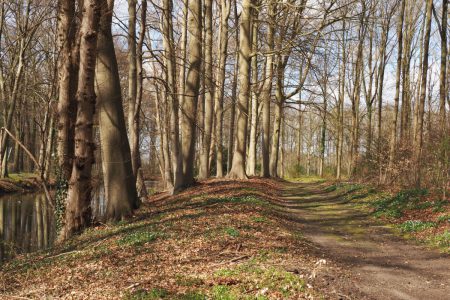 herfst-rond-kastelen-landgoed-de-voorst