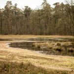 winterwandeling-landgoed-hagen-foto-robert-nijhuis