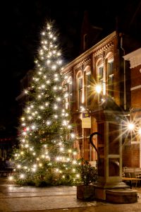 Kerstboom Markt