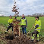 Planten 1e van 200 bomen in buitengebied Zwolle