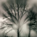 Bettina_Hogeweg_Nawinter_01