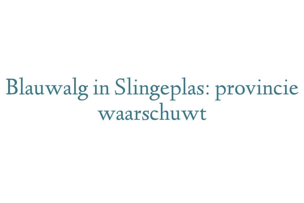 Blauwalg in Slingeplas: provincie waarschuwt