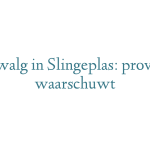 Blauwalg in Slingeplas: provincie waarschuwt