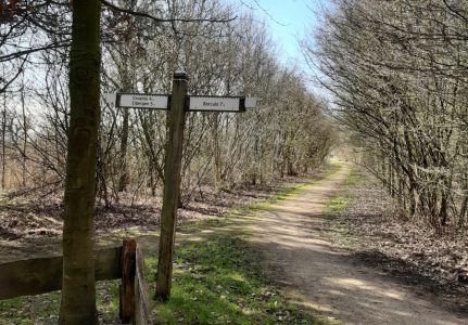 foto wandeltocht 2025 handwijzer