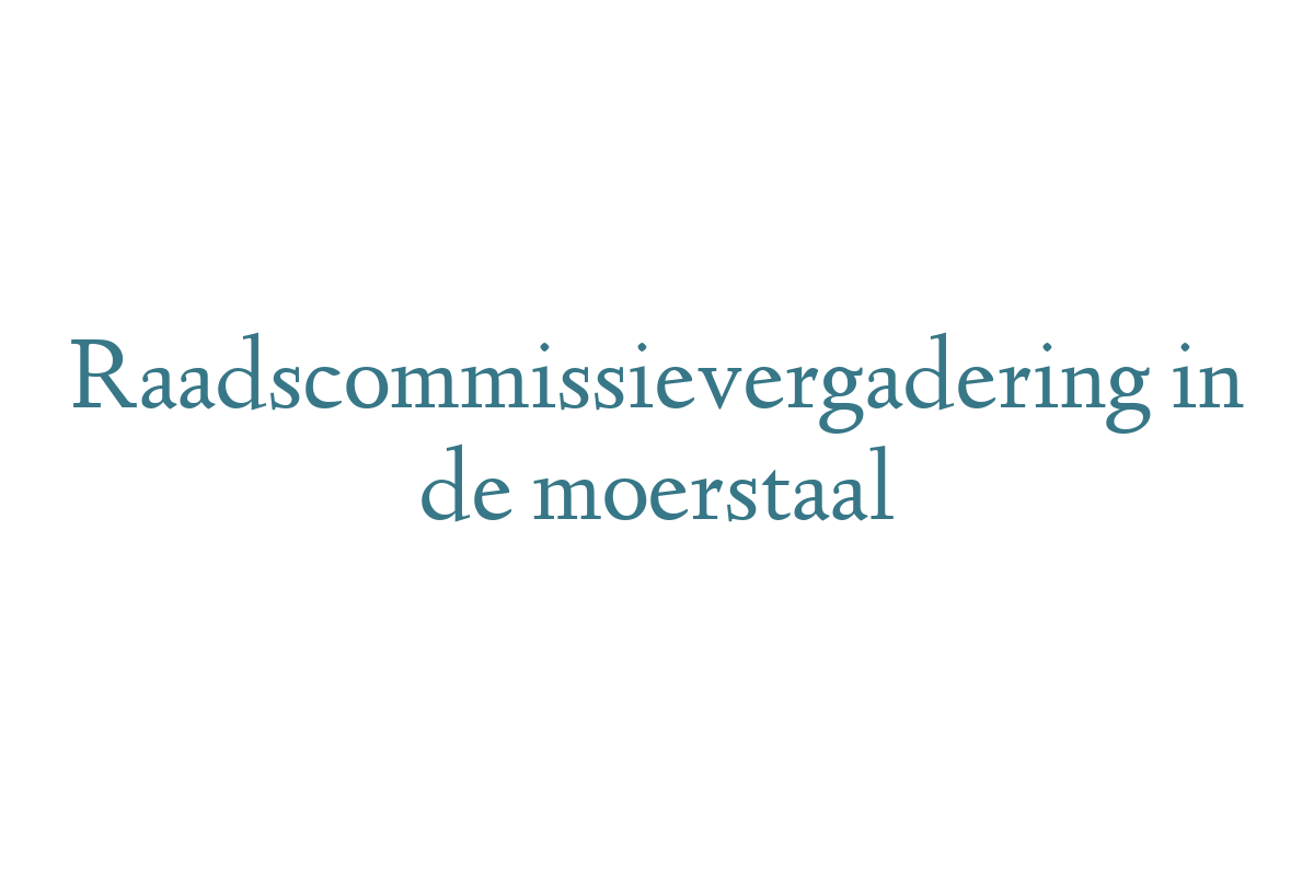 Raadscommissievergadering in de moerstaal