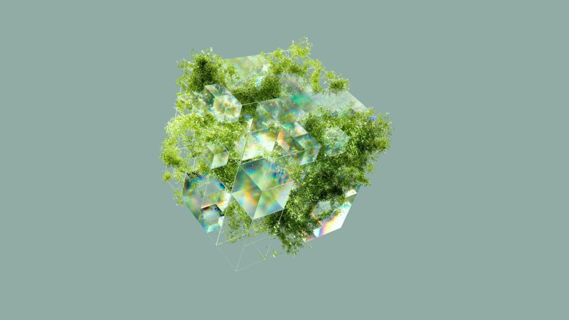 20250522 digitale voetafdruk
