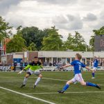 Grol 1 - Trekvogels