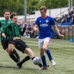 Grol 1 - Trekvogels-4