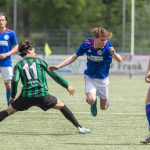 Grol 1 - Trekvogels-5