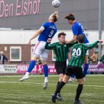 Grol 1 - Trekvogels-6