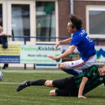 Grol 1 - Trekvogels-7