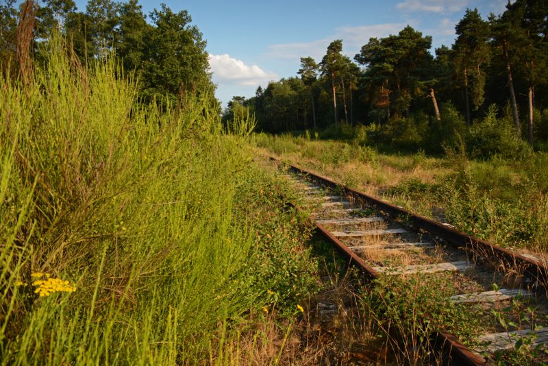 Spoorbaanwandeling-Borkense-Baan-Nico-Kloek