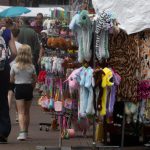 Grolse Vesteval Dagen-5