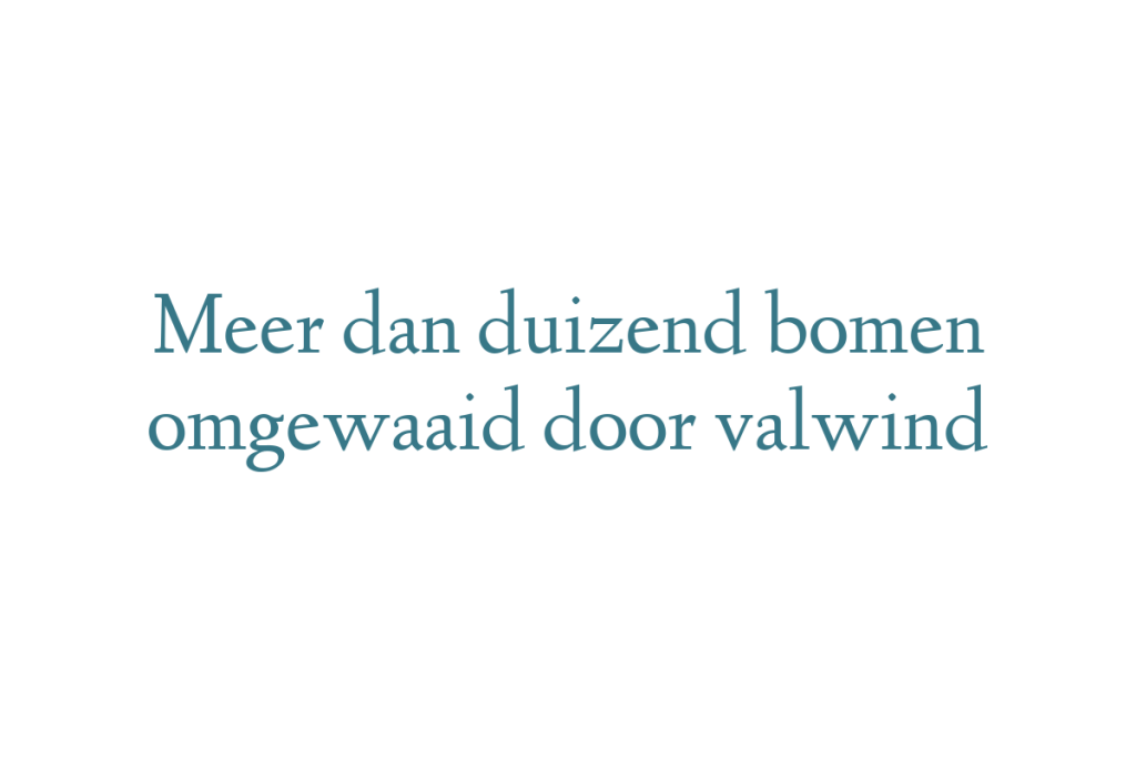Meer dan duizend bomen omgewaaid door valwind