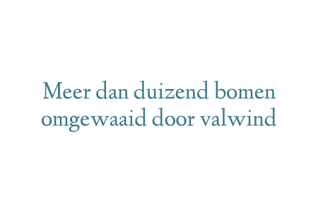 Meer dan duizend bomen omgewaaid door valwind