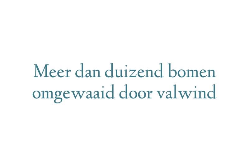 Meer dan duizend bomen omgewaaid door valwind