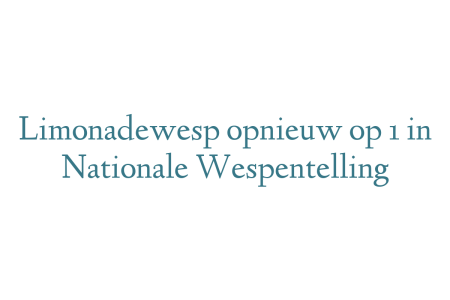 Limonadewesp opnieuw op 1 in Nationale Wespentelling