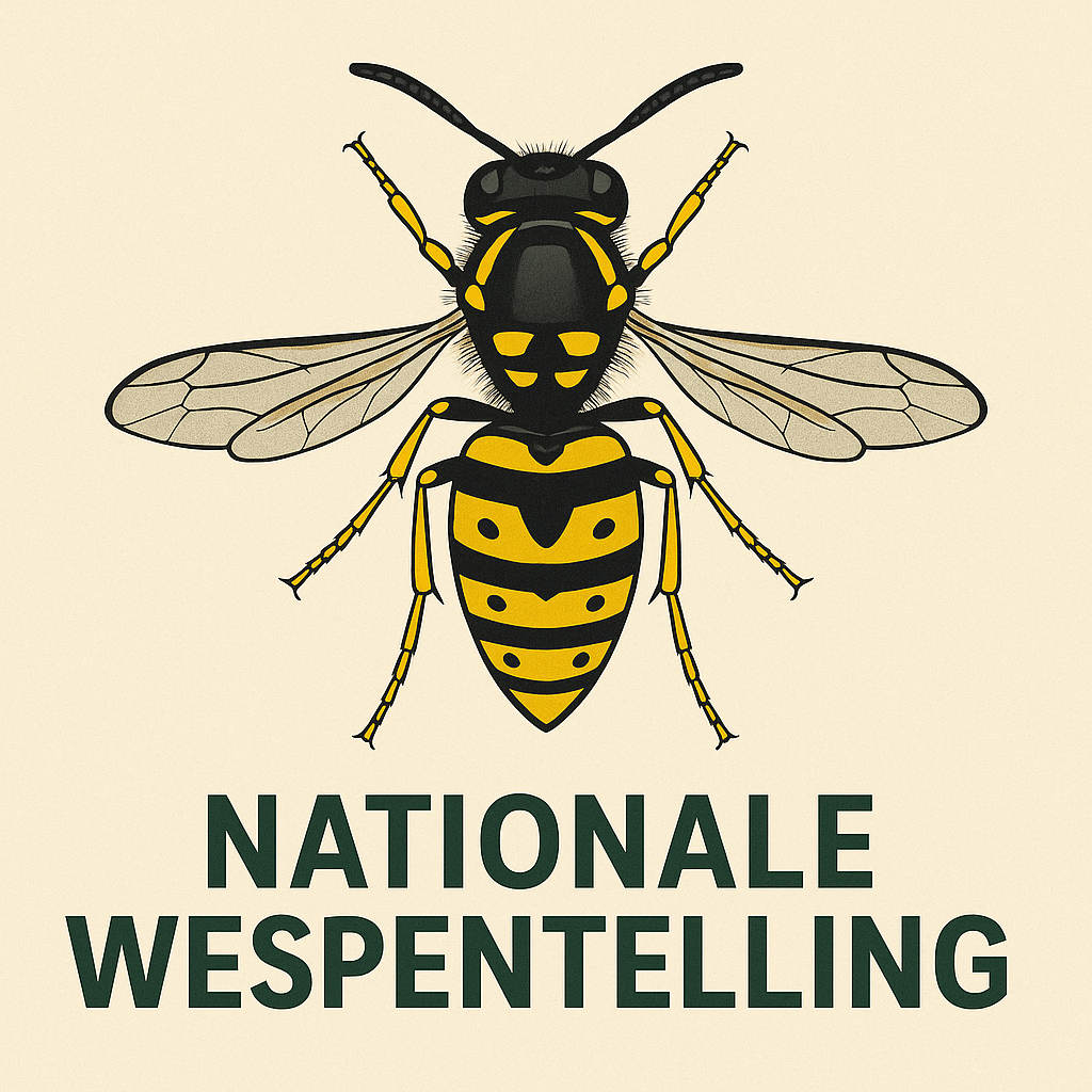 wespentelling