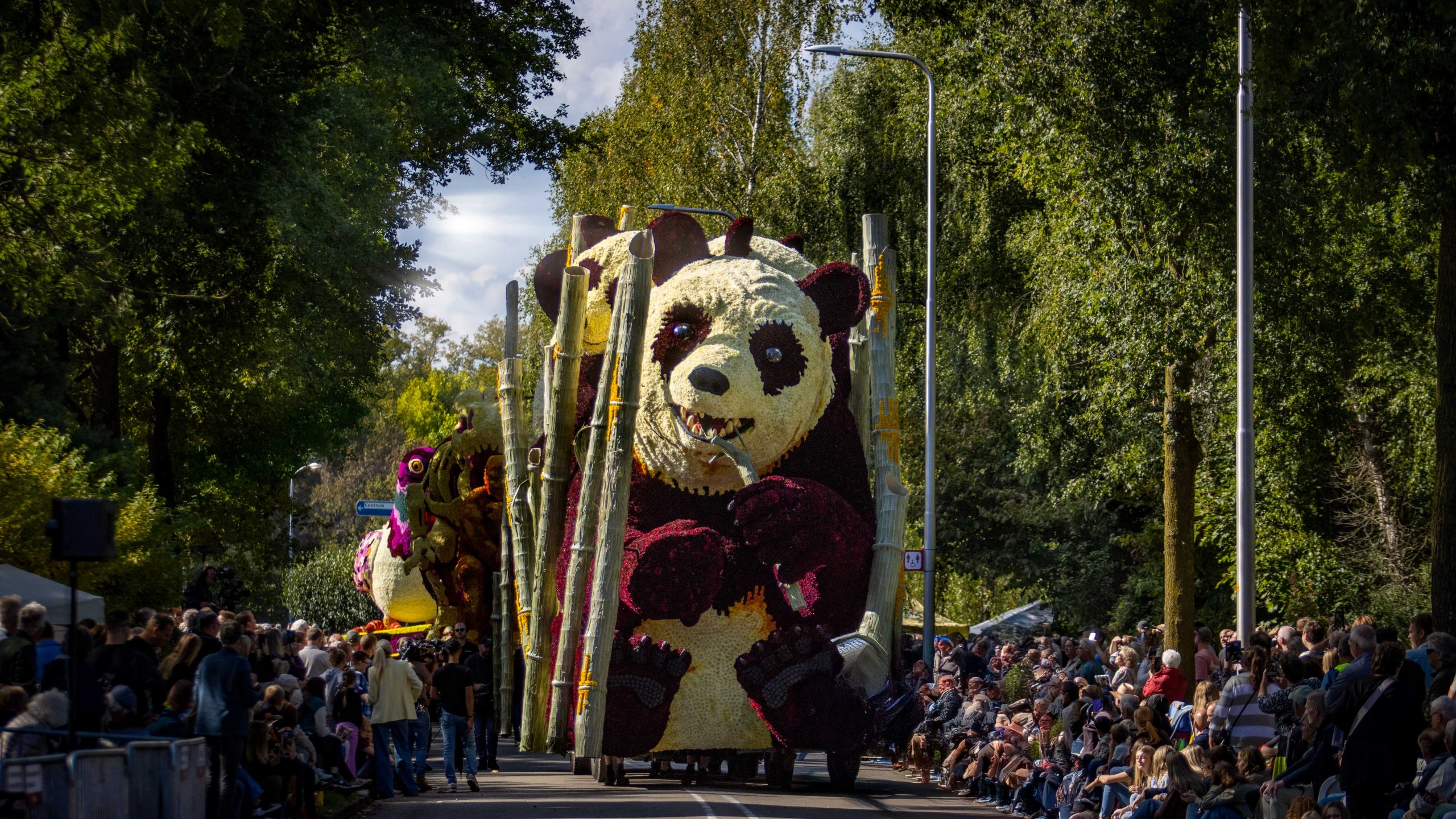 Geen corsorondgang op maandag, wel prijsuitreiking en vogelschieten