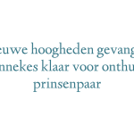 Nieuwe hoogheden gevangen: Knunnekes klaar voor onthulling prinsenpaar
