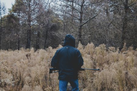 amir-hosseini-wXiq9CTFei0-unsplash