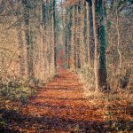 rondje-rot-hijink-foto-robert-nijhuis