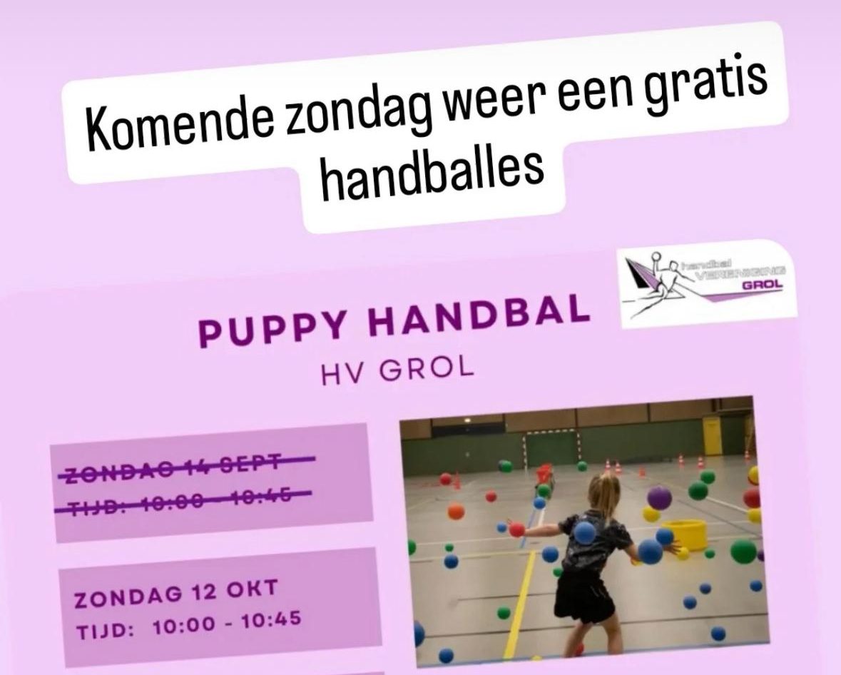 Gratis puppy-handbal bij HV Grol