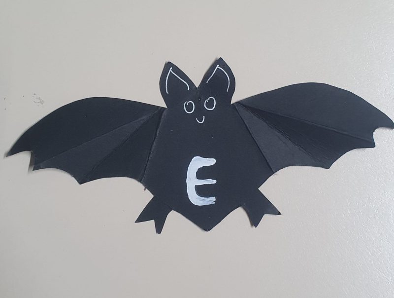 vleermuis