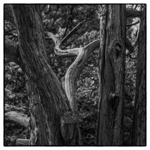 Fotokabinet Stille kracht 3