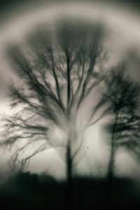 Thema Winter, Bettina Hogeweg, Nawinter_01