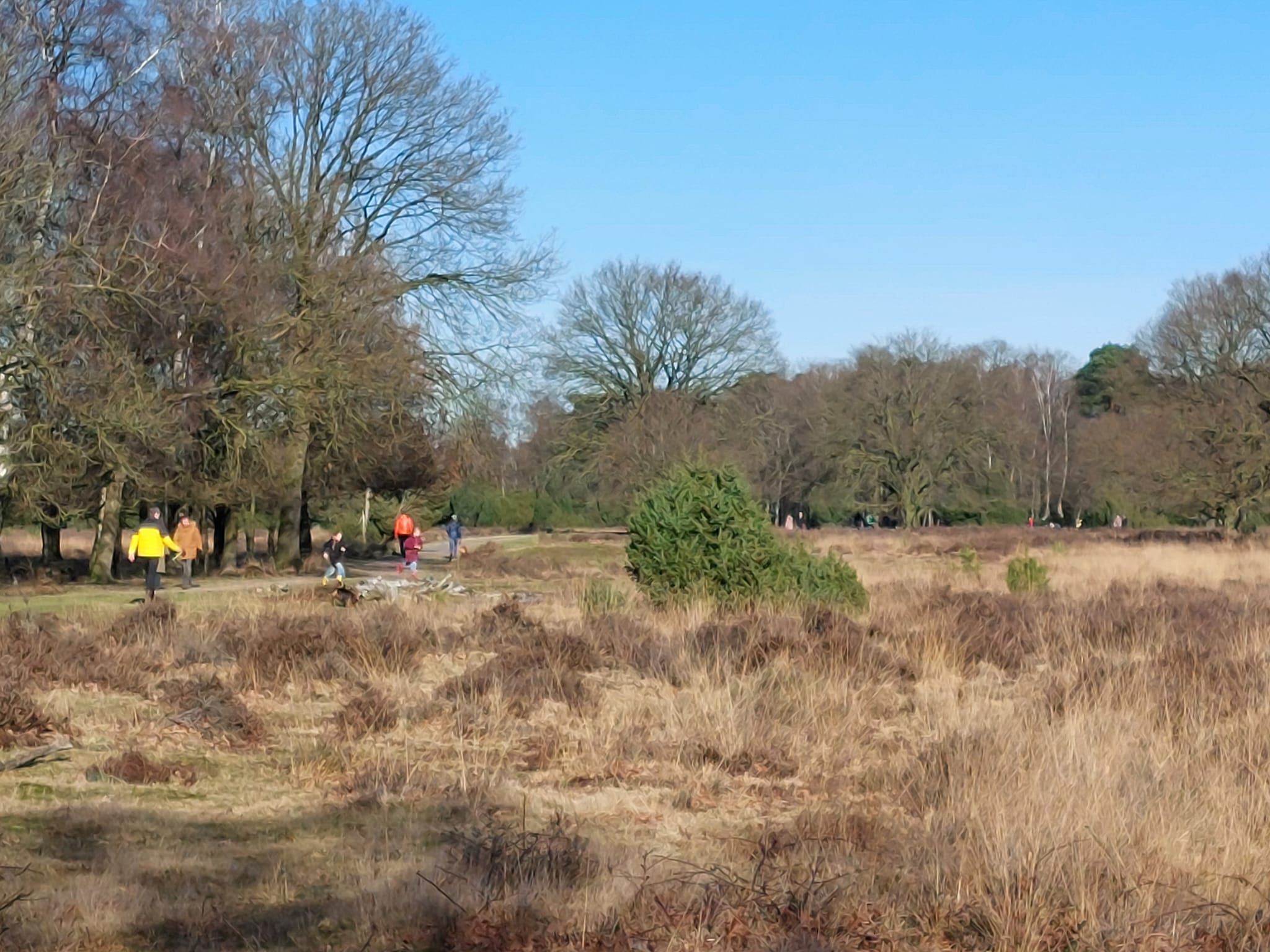 Herfstwandeling rond Neede: genieten van kleur en rust