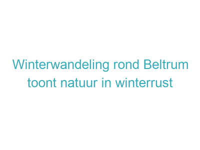 Winterwandeling rond Beltrum toont natuur in winterrust